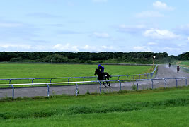 Outdoor Dirt course