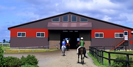 屋内角馬場