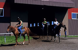 屋内角馬場